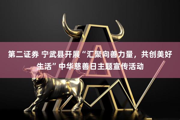第二证券 宁武县开展“汇聚向善力量，共创美好生活”中华慈善日主题宣传活动