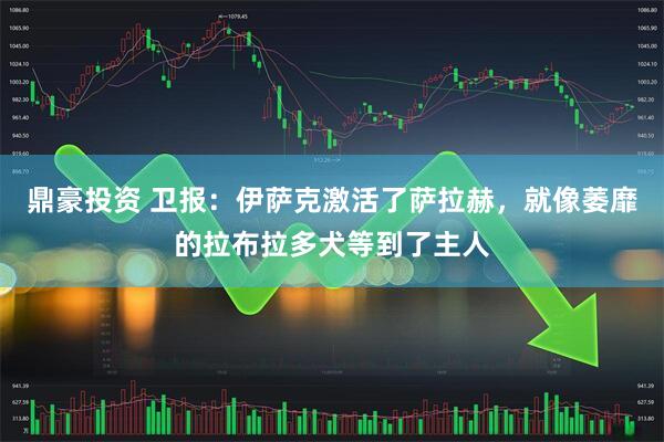 鼎豪投资 卫报：伊萨克激活了萨拉赫，就像萎靡的拉布拉多犬等到了主人