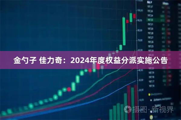 金勺子 佳力奇：2024年度权益分派实施公告